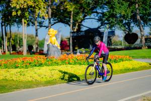 BIB: 
                            <button type="button" onclick="openModal(26168045)" class="btn btn-primary btn-sm float-right btn-popup" data-toggle="modal" data-target=".modal-high-quality">
                        <i class="fas fa-shopping-cart"></i> Add to Cart
                    </button>
                                            <button type="button" onclick="isThisMe(26168045, true)" class="btn btn-success btn-sm float-right btn-popup btn-isme hidden" data-toggle="tooltip" data-placement="bottom" title="นี่คือรูปของคุณใช่ไหม คลิกที่นี่เพื่อเอาเข้าอัลบั้ม">
                        <i class="fas fa-plus"></i> Add to album
                    </button>
                    <button type="button" onclick="isThisMe(26168045, false)" class="btn btn-warning btn-sm float-right btn-popup btn-isnotme hidden">
                        <i class="fas fa-ban"></i> Remove from album
                    </button>