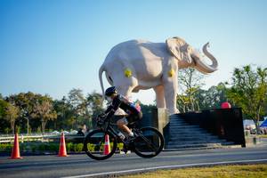 BIB: 
                            <button type="button" onclick="openModal(26163456)" class="btn btn-primary btn-sm float-right btn-popup" data-toggle="modal" data-target=".modal-high-quality">
                        <i class="fas fa-shopping-cart"></i> Add to Cart
                    </button>
                                            <button type="button" onclick="isThisMe(26163456, true)" class="btn btn-success btn-sm float-right btn-popup btn-isme hidden" data-toggle="tooltip" data-placement="bottom" title="นี่คือรูปของคุณใช่ไหม คลิกที่นี่เพื่อเอาเข้าอัลบั้ม">
                        <i class="fas fa-plus"></i> Add to album
                    </button>
                    <button type="button" onclick="isThisMe(26163456, false)" class="btn btn-warning btn-sm float-right btn-popup btn-isnotme hidden">
                        <i class="fas fa-ban"></i> Remove from album
                    </button>