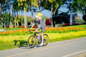 BIB: 
                            <button type="button" onclick="openModal(26167769)" class="btn btn-primary btn-sm float-right btn-popup" data-toggle="modal" data-target=".modal-high-quality">
                        <i class="fas fa-shopping-cart"></i> Add to Cart
                    </button>
                                            <button type="button" onclick="isThisMe(26167769, true)" class="btn btn-success btn-sm float-right btn-popup btn-isme hidden" data-toggle="tooltip" data-placement="bottom" title="นี่คือรูปของคุณใช่ไหม คลิกที่นี่เพื่อเอาเข้าอัลบั้ม">
                        <i class="fas fa-plus"></i> Add to album
                    </button>
                    <button type="button" onclick="isThisMe(26167769, false)" class="btn btn-warning btn-sm float-right btn-popup btn-isnotme hidden">
                        <i class="fas fa-ban"></i> Remove from album
                    </button>