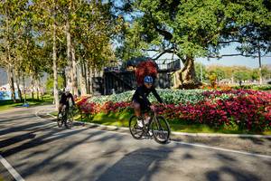 BIB: 
                            <button type="button" onclick="openModal(26168389)" class="btn btn-primary btn-sm float-right btn-popup" data-toggle="modal" data-target=".modal-high-quality">
                        <i class="fas fa-shopping-cart"></i> Add to Cart
                    </button>
                                            <button type="button" onclick="isThisMe(26168389, true)" class="btn btn-success btn-sm float-right btn-popup btn-isme hidden" data-toggle="tooltip" data-placement="bottom" title="นี่คือรูปของคุณใช่ไหม คลิกที่นี่เพื่อเอาเข้าอัลบั้ม">
                        <i class="fas fa-plus"></i> Add to album
                    </button>
                    <button type="button" onclick="isThisMe(26168389, false)" class="btn btn-warning btn-sm float-right btn-popup btn-isnotme hidden">
                        <i class="fas fa-ban"></i> Remove from album
                    </button>