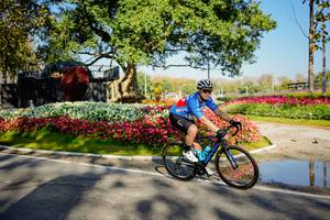 BIB: 
                            <button type="button" onclick="openModal(26168401)" class="btn btn-primary btn-sm float-right btn-popup" data-toggle="modal" data-target=".modal-high-quality">
                        <i class="fas fa-shopping-cart"></i> Add to Cart
                    </button>
                                            <button type="button" onclick="isThisMe(26168401, true)" class="btn btn-success btn-sm float-right btn-popup btn-isme hidden" data-toggle="tooltip" data-placement="bottom" title="นี่คือรูปของคุณใช่ไหม คลิกที่นี่เพื่อเอาเข้าอัลบั้ม">
                        <i class="fas fa-plus"></i> Add to album
                    </button>
                    <button type="button" onclick="isThisMe(26168401, false)" class="btn btn-warning btn-sm float-right btn-popup btn-isnotme hidden">
                        <i class="fas fa-ban"></i> Remove from album
                    </button>