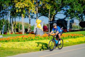 BIB: 
                            <button type="button" onclick="openModal(26168030)" class="btn btn-primary btn-sm float-right btn-popup" data-toggle="modal" data-target=".modal-high-quality">
                        <i class="fas fa-shopping-cart"></i> Add to Cart
                    </button>
                                            <button type="button" onclick="isThisMe(26168030, true)" class="btn btn-success btn-sm float-right btn-popup btn-isme hidden" data-toggle="tooltip" data-placement="bottom" title="นี่คือรูปของคุณใช่ไหม คลิกที่นี่เพื่อเอาเข้าอัลบั้ม">
                        <i class="fas fa-plus"></i> Add to album
                    </button>
                    <button type="button" onclick="isThisMe(26168030, false)" class="btn btn-warning btn-sm float-right btn-popup btn-isnotme hidden">
                        <i class="fas fa-ban"></i> Remove from album
                    </button>