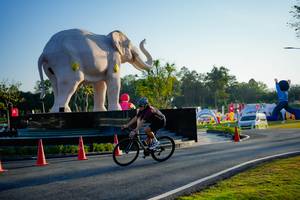 BIB: 
                            <button type="button" onclick="openModal(26163356)" class="btn btn-primary btn-sm float-right btn-popup" data-toggle="modal" data-target=".modal-high-quality">
                        <i class="fas fa-shopping-cart"></i> Add to Cart
                    </button>
                                            <button type="button" onclick="isThisMe(26163356, true)" class="btn btn-success btn-sm float-right btn-popup btn-isme hidden" data-toggle="tooltip" data-placement="bottom" title="นี่คือรูปของคุณใช่ไหม คลิกที่นี่เพื่อเอาเข้าอัลบั้ม">
                        <i class="fas fa-plus"></i> Add to album
                    </button>
                    <button type="button" onclick="isThisMe(26163356, false)" class="btn btn-warning btn-sm float-right btn-popup btn-isnotme hidden">
                        <i class="fas fa-ban"></i> Remove from album
                    </button>