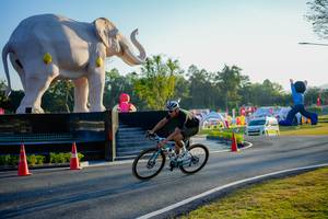 BIB: 
                            <button type="button" onclick="openModal(26163367)" class="btn btn-primary btn-sm float-right btn-popup" data-toggle="modal" data-target=".modal-high-quality">
                        <i class="fas fa-shopping-cart"></i> Add to Cart
                    </button>
                                            <button type="button" onclick="isThisMe(26163367, true)" class="btn btn-success btn-sm float-right btn-popup btn-isme hidden" data-toggle="tooltip" data-placement="bottom" title="นี่คือรูปของคุณใช่ไหม คลิกที่นี่เพื่อเอาเข้าอัลบั้ม">
                        <i class="fas fa-plus"></i> Add to album
                    </button>
                    <button type="button" onclick="isThisMe(26163367, false)" class="btn btn-warning btn-sm float-right btn-popup btn-isnotme hidden">
                        <i class="fas fa-ban"></i> Remove from album
                    </button>