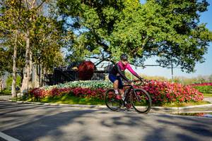 BIB: 
                            <button type="button" onclick="openModal(26168351)" class="btn btn-primary btn-sm float-right btn-popup" data-toggle="modal" data-target=".modal-high-quality">
                        <i class="fas fa-shopping-cart"></i> Add to Cart
                    </button>
                                            <button type="button" onclick="isThisMe(26168351, true)" class="btn btn-success btn-sm float-right btn-popup btn-isme hidden" data-toggle="tooltip" data-placement="bottom" title="นี่คือรูปของคุณใช่ไหม คลิกที่นี่เพื่อเอาเข้าอัลบั้ม">
                        <i class="fas fa-plus"></i> Add to album
                    </button>
                    <button type="button" onclick="isThisMe(26168351, false)" class="btn btn-warning btn-sm float-right btn-popup btn-isnotme hidden">
                        <i class="fas fa-ban"></i> Remove from album
                    </button>