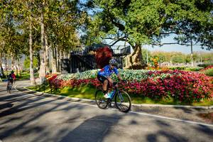 BIB: 
                            <button type="button" onclick="openModal(26168396)" class="btn btn-primary btn-sm float-right btn-popup" data-toggle="modal" data-target=".modal-high-quality">
                        <i class="fas fa-shopping-cart"></i> Add to Cart
                    </button>
                                            <button type="button" onclick="isThisMe(26168396, true)" class="btn btn-success btn-sm float-right btn-popup btn-isme hidden" data-toggle="tooltip" data-placement="bottom" title="นี่คือรูปของคุณใช่ไหม คลิกที่นี่เพื่อเอาเข้าอัลบั้ม">
                        <i class="fas fa-plus"></i> Add to album
                    </button>
                    <button type="button" onclick="isThisMe(26168396, false)" class="btn btn-warning btn-sm float-right btn-popup btn-isnotme hidden">
                        <i class="fas fa-ban"></i> Remove from album
                    </button>