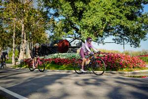 BIB: 
                            <button type="button" onclick="openModal(26168372)" class="btn btn-primary btn-sm float-right btn-popup" data-toggle="modal" data-target=".modal-high-quality">
                        <i class="fas fa-shopping-cart"></i> Add to Cart
                    </button>
                                            <button type="button" onclick="isThisMe(26168372, true)" class="btn btn-success btn-sm float-right btn-popup btn-isme hidden" data-toggle="tooltip" data-placement="bottom" title="นี่คือรูปของคุณใช่ไหม คลิกที่นี่เพื่อเอาเข้าอัลบั้ม">
                        <i class="fas fa-plus"></i> Add to album
                    </button>
                    <button type="button" onclick="isThisMe(26168372, false)" class="btn btn-warning btn-sm float-right btn-popup btn-isnotme hidden">
                        <i class="fas fa-ban"></i> Remove from album
                    </button>