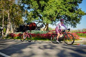 BIB: 
                            <button type="button" onclick="openModal(26168375)" class="btn btn-primary btn-sm float-right btn-popup" data-toggle="modal" data-target=".modal-high-quality">
                        <i class="fas fa-shopping-cart"></i> Add to Cart
                    </button>
                                            <button type="button" onclick="isThisMe(26168375, true)" class="btn btn-success btn-sm float-right btn-popup btn-isme hidden" data-toggle="tooltip" data-placement="bottom" title="นี่คือรูปของคุณใช่ไหม คลิกที่นี่เพื่อเอาเข้าอัลบั้ม">
                        <i class="fas fa-plus"></i> Add to album
                    </button>
                    <button type="button" onclick="isThisMe(26168375, false)" class="btn btn-warning btn-sm float-right btn-popup btn-isnotme hidden">
                        <i class="fas fa-ban"></i> Remove from album
                    </button>