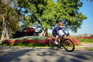 BIB: 
                            <button type="button" onclick="openModal(26168366)" class="btn btn-primary btn-sm float-right btn-popup" data-toggle="modal" data-target=".modal-high-quality">
                        <i class="fas fa-shopping-cart"></i> Add to Cart
                    </button>
                                            <button type="button" onclick="isThisMe(26168366, true)" class="btn btn-success btn-sm float-right btn-popup btn-isme hidden" data-toggle="tooltip" data-placement="bottom" title="นี่คือรูปของคุณใช่ไหม คลิกที่นี่เพื่อเอาเข้าอัลบั้ม">
                        <i class="fas fa-plus"></i> Add to album
                    </button>
                    <button type="button" onclick="isThisMe(26168366, false)" class="btn btn-warning btn-sm float-right btn-popup btn-isnotme hidden">
                        <i class="fas fa-ban"></i> Remove from album
                    </button>