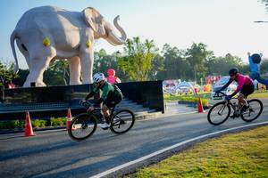 BIB: 
                            <button type="button" onclick="openModal(26163408)" class="btn btn-primary btn-sm float-right btn-popup" data-toggle="modal" data-target=".modal-high-quality">
                        <i class="fas fa-shopping-cart"></i> Add to Cart
                    </button>
                                            <button type="button" onclick="isThisMe(26163408, true)" class="btn btn-success btn-sm float-right btn-popup btn-isme hidden" data-toggle="tooltip" data-placement="bottom" title="นี่คือรูปของคุณใช่ไหม คลิกที่นี่เพื่อเอาเข้าอัลบั้ม">
                        <i class="fas fa-plus"></i> Add to album
                    </button>
                    <button type="button" onclick="isThisMe(26163408, false)" class="btn btn-warning btn-sm float-right btn-popup btn-isnotme hidden">
                        <i class="fas fa-ban"></i> Remove from album
                    </button>