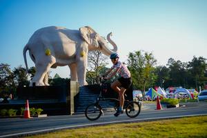 BIB: 
                            <button type="button" onclick="openModal(26163419)" class="btn btn-primary btn-sm float-right btn-popup" data-toggle="modal" data-target=".modal-high-quality">
                        <i class="fas fa-shopping-cart"></i> Add to Cart
                    </button>
                                            <button type="button" onclick="isThisMe(26163419, true)" class="btn btn-success btn-sm float-right btn-popup btn-isme hidden" data-toggle="tooltip" data-placement="bottom" title="นี่คือรูปของคุณใช่ไหม คลิกที่นี่เพื่อเอาเข้าอัลบั้ม">
                        <i class="fas fa-plus"></i> Add to album
                    </button>
                    <button type="button" onclick="isThisMe(26163419, false)" class="btn btn-warning btn-sm float-right btn-popup btn-isnotme hidden">
                        <i class="fas fa-ban"></i> Remove from album
                    </button>