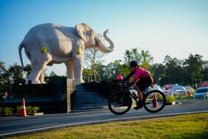 BIB: 
                            <button type="button" onclick="openModal(26163435)" class="btn btn-primary btn-sm float-right btn-popup" data-toggle="modal" data-target=".modal-high-quality">
                        <i class="fas fa-shopping-cart"></i> Add to Cart
                    </button>
                                            <button type="button" onclick="isThisMe(26163435, true)" class="btn btn-success btn-sm float-right btn-popup btn-isme hidden" data-toggle="tooltip" data-placement="bottom" title="นี่คือรูปของคุณใช่ไหม คลิกที่นี่เพื่อเอาเข้าอัลบั้ม">
                        <i class="fas fa-plus"></i> Add to album
                    </button>
                    <button type="button" onclick="isThisMe(26163435, false)" class="btn btn-warning btn-sm float-right btn-popup btn-isnotme hidden">
                        <i class="fas fa-ban"></i> Remove from album
                    </button>