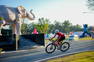 BIB: 
                            <button type="button" onclick="openModal(26163463)" class="btn btn-primary btn-sm float-right btn-popup" data-toggle="modal" data-target=".modal-high-quality">
                        <i class="fas fa-shopping-cart"></i> Add to Cart
                    </button>
                                            <button type="button" onclick="isThisMe(26163463, true)" class="btn btn-success btn-sm float-right btn-popup btn-isme hidden" data-toggle="tooltip" data-placement="bottom" title="นี่คือรูปของคุณใช่ไหม คลิกที่นี่เพื่อเอาเข้าอัลบั้ม">
                        <i class="fas fa-plus"></i> Add to album
                    </button>
                    <button type="button" onclick="isThisMe(26163463, false)" class="btn btn-warning btn-sm float-right btn-popup btn-isnotme hidden">
                        <i class="fas fa-ban"></i> Remove from album
                    </button>