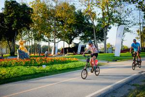 BIB: 
                            <button type="button" onclick="openModal(26163894)" class="btn btn-primary btn-sm float-right btn-popup" data-toggle="modal" data-target=".modal-high-quality">
                        <i class="fas fa-shopping-cart"></i> Add to Cart
                    </button>
                                            <button type="button" onclick="isThisMe(26163894, true)" class="btn btn-success btn-sm float-right btn-popup btn-isme hidden" data-toggle="tooltip" data-placement="bottom" title="นี่คือรูปของคุณใช่ไหม คลิกที่นี่เพื่อเอาเข้าอัลบั้ม">
                        <i class="fas fa-plus"></i> Add to album
                    </button>
                    <button type="button" onclick="isThisMe(26163894, false)" class="btn btn-warning btn-sm float-right btn-popup btn-isnotme hidden">
                        <i class="fas fa-ban"></i> Remove from album
                    </button>