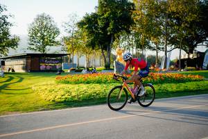 BIB: 
                            <button type="button" onclick="openModal(26163803)" class="btn btn-primary btn-sm float-right btn-popup" data-toggle="modal" data-target=".modal-high-quality">
                        <i class="fas fa-shopping-cart"></i> Add to Cart
                    </button>
                                            <button type="button" onclick="isThisMe(26163803, true)" class="btn btn-success btn-sm float-right btn-popup btn-isme hidden" data-toggle="tooltip" data-placement="bottom" title="นี่คือรูปของคุณใช่ไหม คลิกที่นี่เพื่อเอาเข้าอัลบั้ม">
                        <i class="fas fa-plus"></i> Add to album
                    </button>
                    <button type="button" onclick="isThisMe(26163803, false)" class="btn btn-warning btn-sm float-right btn-popup btn-isnotme hidden">
                        <i class="fas fa-ban"></i> Remove from album
                    </button>