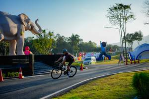 BIB: 
                            <button type="button" onclick="openModal(26163349)" class="btn btn-primary btn-sm float-right btn-popup" data-toggle="modal" data-target=".modal-high-quality">
                        <i class="fas fa-shopping-cart"></i> Add to Cart
                    </button>
                                            <button type="button" onclick="isThisMe(26163349, true)" class="btn btn-success btn-sm float-right btn-popup btn-isme hidden" data-toggle="tooltip" data-placement="bottom" title="นี่คือรูปของคุณใช่ไหม คลิกที่นี่เพื่อเอาเข้าอัลบั้ม">
                        <i class="fas fa-plus"></i> Add to album
                    </button>
                    <button type="button" onclick="isThisMe(26163349, false)" class="btn btn-warning btn-sm float-right btn-popup btn-isnotme hidden">
                        <i class="fas fa-ban"></i> Remove from album
                    </button>