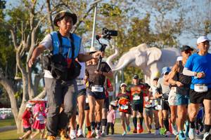 BIB: 
                            <button type="button" onclick="openModal(26187600)" class="btn btn-primary btn-sm float-right btn-popup" data-toggle="modal" data-target=".modal-high-quality">
                        <i class="fas fa-shopping-cart"></i> Add to Cart
                    </button>
                                            <button type="button" onclick="isThisMe(26187600, true)" class="btn btn-success btn-sm float-right btn-popup btn-isme hidden" data-toggle="tooltip" data-placement="bottom" title="นี่คือรูปของคุณใช่ไหม คลิกที่นี่เพื่อเอาเข้าอัลบั้ม">
                        <i class="fas fa-plus"></i> Add to album
                    </button>
                    <button type="button" onclick="isThisMe(26187600, false)" class="btn btn-warning btn-sm float-right btn-popup btn-isnotme hidden">
                        <i class="fas fa-ban"></i> Remove from album
                    </button>