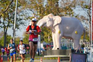 BIB: 
                            <button type="button" onclick="openModal(26188212)" class="btn btn-primary btn-sm float-right btn-popup" data-toggle="modal" data-target=".modal-high-quality">
                        <i class="fas fa-shopping-cart"></i> Add to Cart
                    </button>
                                            <button type="button" onclick="isThisMe(26188212, true)" class="btn btn-success btn-sm float-right btn-popup btn-isme hidden" data-toggle="tooltip" data-placement="bottom" title="นี่คือรูปของคุณใช่ไหม คลิกที่นี่เพื่อเอาเข้าอัลบั้ม">
                        <i class="fas fa-plus"></i> Add to album
                    </button>
                    <button type="button" onclick="isThisMe(26188212, false)" class="btn btn-warning btn-sm float-right btn-popup btn-isnotme hidden">
                        <i class="fas fa-ban"></i> Remove from album
                    </button>