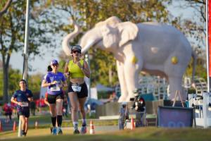 BIB: 
                            <button type="button" onclick="openModal(26188469)" class="btn btn-primary btn-sm float-right btn-popup" data-toggle="modal" data-target=".modal-high-quality">
                        <i class="fas fa-shopping-cart"></i> Add to Cart
                    </button>
                                            <button type="button" onclick="isThisMe(26188469, true)" class="btn btn-success btn-sm float-right btn-popup btn-isme hidden" data-toggle="tooltip" data-placement="bottom" title="นี่คือรูปของคุณใช่ไหม คลิกที่นี่เพื่อเอาเข้าอัลบั้ม">
                        <i class="fas fa-plus"></i> Add to album
                    </button>
                    <button type="button" onclick="isThisMe(26188469, false)" class="btn btn-warning btn-sm float-right btn-popup btn-isnotme hidden">
                        <i class="fas fa-ban"></i> Remove from album
                    </button>