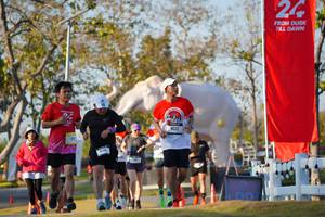 BIB: 
                            <button type="button" onclick="openModal(26188755)" class="btn btn-primary btn-sm float-right btn-popup" data-toggle="modal" data-target=".modal-high-quality">
                        <i class="fas fa-shopping-cart"></i> Add to Cart
                    </button>
                                            <button type="button" onclick="isThisMe(26188755, true)" class="btn btn-success btn-sm float-right btn-popup btn-isme hidden" data-toggle="tooltip" data-placement="bottom" title="นี่คือรูปของคุณใช่ไหม คลิกที่นี่เพื่อเอาเข้าอัลบั้ม">
                        <i class="fas fa-plus"></i> Add to album
                    </button>
                    <button type="button" onclick="isThisMe(26188755, false)" class="btn btn-warning btn-sm float-right btn-popup btn-isnotme hidden">
                        <i class="fas fa-ban"></i> Remove from album
                    </button>