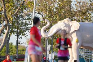 BIB: 
                            <button type="button" onclick="openModal(26189291)" class="btn btn-primary btn-sm float-right btn-popup" data-toggle="modal" data-target=".modal-high-quality">
                        <i class="fas fa-shopping-cart"></i> Add to Cart
                    </button>
                                            <button type="button" onclick="isThisMe(26189291, true)" class="btn btn-success btn-sm float-right btn-popup btn-isme hidden" data-toggle="tooltip" data-placement="bottom" title="นี่คือรูปของคุณใช่ไหม คลิกที่นี่เพื่อเอาเข้าอัลบั้ม">
                        <i class="fas fa-plus"></i> Add to album
                    </button>
                    <button type="button" onclick="isThisMe(26189291, false)" class="btn btn-warning btn-sm float-right btn-popup btn-isnotme hidden">
                        <i class="fas fa-ban"></i> Remove from album
                    </button>