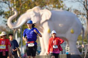 BIB: 
                            <button type="button" onclick="openModal(26189229)" class="btn btn-primary btn-sm float-right btn-popup" data-toggle="modal" data-target=".modal-high-quality">
                        <i class="fas fa-shopping-cart"></i> Add to Cart
                    </button>
                                            <button type="button" onclick="isThisMe(26189229, true)" class="btn btn-success btn-sm float-right btn-popup btn-isme hidden" data-toggle="tooltip" data-placement="bottom" title="นี่คือรูปของคุณใช่ไหม คลิกที่นี่เพื่อเอาเข้าอัลบั้ม">
                        <i class="fas fa-plus"></i> Add to album
                    </button>
                    <button type="button" onclick="isThisMe(26189229, false)" class="btn btn-warning btn-sm float-right btn-popup btn-isnotme hidden">
                        <i class="fas fa-ban"></i> Remove from album
                    </button>