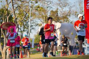 BIB: 
                            <button type="button" onclick="openModal(26188761)" class="btn btn-primary btn-sm float-right btn-popup" data-toggle="modal" data-target=".modal-high-quality">
                        <i class="fas fa-shopping-cart"></i> Add to Cart
                    </button>
                                            <button type="button" onclick="isThisMe(26188761, true)" class="btn btn-success btn-sm float-right btn-popup btn-isme hidden" data-toggle="tooltip" data-placement="bottom" title="นี่คือรูปของคุณใช่ไหม คลิกที่นี่เพื่อเอาเข้าอัลบั้ม">
                        <i class="fas fa-plus"></i> Add to album
                    </button>
                    <button type="button" onclick="isThisMe(26188761, false)" class="btn btn-warning btn-sm float-right btn-popup btn-isnotme hidden">
                        <i class="fas fa-ban"></i> Remove from album
                    </button>