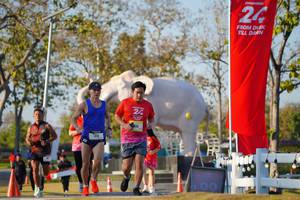 BIB: 
                            <button type="button" onclick="openModal(26188127)" class="btn btn-primary btn-sm float-right btn-popup" data-toggle="modal" data-target=".modal-high-quality">
                        <i class="fas fa-shopping-cart"></i> Add to Cart
                    </button>
                                            <button type="button" onclick="isThisMe(26188127, true)" class="btn btn-success btn-sm float-right btn-popup btn-isme hidden" data-toggle="tooltip" data-placement="bottom" title="นี่คือรูปของคุณใช่ไหม คลิกที่นี่เพื่อเอาเข้าอัลบั้ม">
                        <i class="fas fa-plus"></i> Add to album
                    </button>
                    <button type="button" onclick="isThisMe(26188127, false)" class="btn btn-warning btn-sm float-right btn-popup btn-isnotme hidden">
                        <i class="fas fa-ban"></i> Remove from album
                    </button>