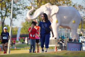 BIB: 
                            <button type="button" onclick="openModal(26188445)" class="btn btn-primary btn-sm float-right btn-popup" data-toggle="modal" data-target=".modal-high-quality">
                        <i class="fas fa-shopping-cart"></i> Add to Cart
                    </button>
                                            <button type="button" onclick="isThisMe(26188445, true)" class="btn btn-success btn-sm float-right btn-popup btn-isme hidden" data-toggle="tooltip" data-placement="bottom" title="นี่คือรูปของคุณใช่ไหม คลิกที่นี่เพื่อเอาเข้าอัลบั้ม">
                        <i class="fas fa-plus"></i> Add to album
                    </button>
                    <button type="button" onclick="isThisMe(26188445, false)" class="btn btn-warning btn-sm float-right btn-popup btn-isnotme hidden">
                        <i class="fas fa-ban"></i> Remove from album
                    </button>