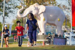 BIB: 
                            <button type="button" onclick="openModal(26188440)" class="btn btn-primary btn-sm float-right btn-popup" data-toggle="modal" data-target=".modal-high-quality">
                        <i class="fas fa-shopping-cart"></i> Add to Cart
                    </button>
                                            <button type="button" onclick="isThisMe(26188440, true)" class="btn btn-success btn-sm float-right btn-popup btn-isme hidden" data-toggle="tooltip" data-placement="bottom" title="นี่คือรูปของคุณใช่ไหม คลิกที่นี่เพื่อเอาเข้าอัลบั้ม">
                        <i class="fas fa-plus"></i> Add to album
                    </button>
                    <button type="button" onclick="isThisMe(26188440, false)" class="btn btn-warning btn-sm float-right btn-popup btn-isnotme hidden">
                        <i class="fas fa-ban"></i> Remove from album
                    </button>