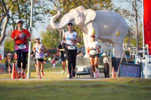 BIB: 
                            <button type="button" onclick="openModal(26188535)" class="btn btn-primary btn-sm float-right btn-popup" data-toggle="modal" data-target=".modal-high-quality">
                        <i class="fas fa-shopping-cart"></i> Add to Cart
                    </button>
                                            <button type="button" onclick="isThisMe(26188535, true)" class="btn btn-success btn-sm float-right btn-popup btn-isme hidden" data-toggle="tooltip" data-placement="bottom" title="นี่คือรูปของคุณใช่ไหม คลิกที่นี่เพื่อเอาเข้าอัลบั้ม">
                        <i class="fas fa-plus"></i> Add to album
                    </button>
                    <button type="button" onclick="isThisMe(26188535, false)" class="btn btn-warning btn-sm float-right btn-popup btn-isnotme hidden">
                        <i class="fas fa-ban"></i> Remove from album
                    </button>