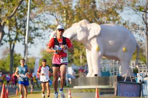 BIB: 
                            <button type="button" onclick="openModal(26188215)" class="btn btn-primary btn-sm float-right btn-popup" data-toggle="modal" data-target=".modal-high-quality">
                        <i class="fas fa-shopping-cart"></i> Add to Cart
                    </button>
                                            <button type="button" onclick="isThisMe(26188215, true)" class="btn btn-success btn-sm float-right btn-popup btn-isme hidden" data-toggle="tooltip" data-placement="bottom" title="นี่คือรูปของคุณใช่ไหม คลิกที่นี่เพื่อเอาเข้าอัลบั้ม">
                        <i class="fas fa-plus"></i> Add to album
                    </button>
                    <button type="button" onclick="isThisMe(26188215, false)" class="btn btn-warning btn-sm float-right btn-popup btn-isnotme hidden">
                        <i class="fas fa-ban"></i> Remove from album
                    </button>