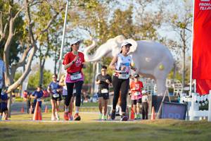 BIB: 
                            <button type="button" onclick="openModal(26188540)" class="btn btn-primary btn-sm float-right btn-popup" data-toggle="modal" data-target=".modal-high-quality">
                        <i class="fas fa-shopping-cart"></i> Add to Cart
                    </button>
                                            <button type="button" onclick="isThisMe(26188540, true)" class="btn btn-success btn-sm float-right btn-popup btn-isme hidden" data-toggle="tooltip" data-placement="bottom" title="นี่คือรูปของคุณใช่ไหม คลิกที่นี่เพื่อเอาเข้าอัลบั้ม">
                        <i class="fas fa-plus"></i> Add to album
                    </button>
                    <button type="button" onclick="isThisMe(26188540, false)" class="btn btn-warning btn-sm float-right btn-popup btn-isnotme hidden">
                        <i class="fas fa-ban"></i> Remove from album
                    </button>