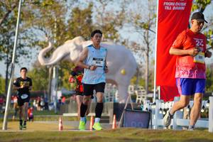 BIB: 
                            <button type="button" onclick="openModal(26188275)" class="btn btn-primary btn-sm float-right btn-popup" data-toggle="modal" data-target=".modal-high-quality">
                        <i class="fas fa-shopping-cart"></i> Add to Cart
                    </button>
                                            <button type="button" onclick="isThisMe(26188275, true)" class="btn btn-success btn-sm float-right btn-popup btn-isme hidden" data-toggle="tooltip" data-placement="bottom" title="นี่คือรูปของคุณใช่ไหม คลิกที่นี่เพื่อเอาเข้าอัลบั้ม">
                        <i class="fas fa-plus"></i> Add to album
                    </button>
                    <button type="button" onclick="isThisMe(26188275, false)" class="btn btn-warning btn-sm float-right btn-popup btn-isnotme hidden">
                        <i class="fas fa-ban"></i> Remove from album
                    </button>