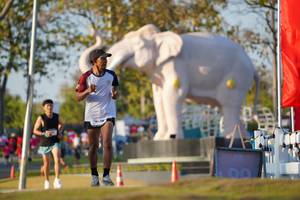 BIB: 
                            <button type="button" onclick="openModal(26188231)" class="btn btn-primary btn-sm float-right btn-popup" data-toggle="modal" data-target=".modal-high-quality">
                        <i class="fas fa-shopping-cart"></i> Add to Cart
                    </button>
                                            <button type="button" onclick="isThisMe(26188231, true)" class="btn btn-success btn-sm float-right btn-popup btn-isme hidden" data-toggle="tooltip" data-placement="bottom" title="นี่คือรูปของคุณใช่ไหม คลิกที่นี่เพื่อเอาเข้าอัลบั้ม">
                        <i class="fas fa-plus"></i> Add to album
                    </button>
                    <button type="button" onclick="isThisMe(26188231, false)" class="btn btn-warning btn-sm float-right btn-popup btn-isnotme hidden">
                        <i class="fas fa-ban"></i> Remove from album
                    </button>