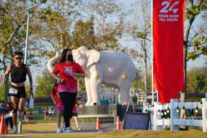 BIB: 
                            <button type="button" onclick="openModal(26188147)" class="btn btn-primary btn-sm float-right btn-popup" data-toggle="modal" data-target=".modal-high-quality">
                        <i class="fas fa-shopping-cart"></i> Add to Cart
                    </button>
                                            <button type="button" onclick="isThisMe(26188147, true)" class="btn btn-success btn-sm float-right btn-popup btn-isme hidden" data-toggle="tooltip" data-placement="bottom" title="นี่คือรูปของคุณใช่ไหม คลิกที่นี่เพื่อเอาเข้าอัลบั้ม">
                        <i class="fas fa-plus"></i> Add to album
                    </button>
                    <button type="button" onclick="isThisMe(26188147, false)" class="btn btn-warning btn-sm float-right btn-popup btn-isnotme hidden">
                        <i class="fas fa-ban"></i> Remove from album
                    </button>