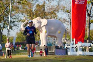 BIB: 
                            <button type="button" onclick="openModal(26188367)" class="btn btn-primary btn-sm float-right btn-popup" data-toggle="modal" data-target=".modal-high-quality">
                        <i class="fas fa-shopping-cart"></i> Add to Cart
                    </button>
                                            <button type="button" onclick="isThisMe(26188367, true)" class="btn btn-success btn-sm float-right btn-popup btn-isme hidden" data-toggle="tooltip" data-placement="bottom" title="นี่คือรูปของคุณใช่ไหม คลิกที่นี่เพื่อเอาเข้าอัลบั้ม">
                        <i class="fas fa-plus"></i> Add to album
                    </button>
                    <button type="button" onclick="isThisMe(26188367, false)" class="btn btn-warning btn-sm float-right btn-popup btn-isnotme hidden">
                        <i class="fas fa-ban"></i> Remove from album
                    </button>