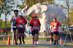 BIB: 
                            <button type="button" onclick="openModal(26189344)" class="btn btn-primary btn-sm float-right btn-popup" data-toggle="modal" data-target=".modal-high-quality">
                        <i class="fas fa-shopping-cart"></i> Add to Cart
                    </button>
                                            <button type="button" onclick="isThisMe(26189344, true)" class="btn btn-success btn-sm float-right btn-popup btn-isme hidden" data-toggle="tooltip" data-placement="bottom" title="นี่คือรูปของคุณใช่ไหม คลิกที่นี่เพื่อเอาเข้าอัลบั้ม">
                        <i class="fas fa-plus"></i> Add to album
                    </button>
                    <button type="button" onclick="isThisMe(26189344, false)" class="btn btn-warning btn-sm float-right btn-popup btn-isnotme hidden">
                        <i class="fas fa-ban"></i> Remove from album
                    </button>