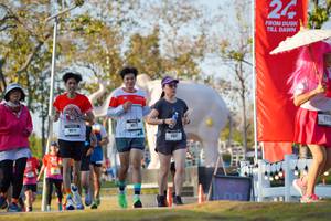 BIB: 
                            <button type="button" onclick="openModal(26188778)" class="btn btn-primary btn-sm float-right btn-popup" data-toggle="modal" data-target=".modal-high-quality">
                        <i class="fas fa-shopping-cart"></i> Add to Cart
                    </button>
                                            <button type="button" onclick="isThisMe(26188778, true)" class="btn btn-success btn-sm float-right btn-popup btn-isme hidden" data-toggle="tooltip" data-placement="bottom" title="นี่คือรูปของคุณใช่ไหม คลิกที่นี่เพื่อเอาเข้าอัลบั้ม">
                        <i class="fas fa-plus"></i> Add to album
                    </button>
                    <button type="button" onclick="isThisMe(26188778, false)" class="btn btn-warning btn-sm float-right btn-popup btn-isnotme hidden">
                        <i class="fas fa-ban"></i> Remove from album
                    </button>