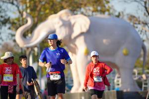 BIB: 
                            <button type="button" onclick="openModal(26189230)" class="btn btn-primary btn-sm float-right btn-popup" data-toggle="modal" data-target=".modal-high-quality">
                        <i class="fas fa-shopping-cart"></i> Add to Cart
                    </button>
                                            <button type="button" onclick="isThisMe(26189230, true)" class="btn btn-success btn-sm float-right btn-popup btn-isme hidden" data-toggle="tooltip" data-placement="bottom" title="นี่คือรูปของคุณใช่ไหม คลิกที่นี่เพื่อเอาเข้าอัลบั้ม">
                        <i class="fas fa-plus"></i> Add to album
                    </button>
                    <button type="button" onclick="isThisMe(26189230, false)" class="btn btn-warning btn-sm float-right btn-popup btn-isnotme hidden">
                        <i class="fas fa-ban"></i> Remove from album
                    </button>