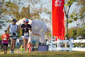 BIB: 
                            <button type="button" onclick="openModal(26188346)" class="btn btn-primary btn-sm float-right btn-popup" data-toggle="modal" data-target=".modal-high-quality">
                        <i class="fas fa-shopping-cart"></i> Add to Cart
                    </button>
                                            <button type="button" onclick="isThisMe(26188346, true)" class="btn btn-success btn-sm float-right btn-popup btn-isme hidden" data-toggle="tooltip" data-placement="bottom" title="นี่คือรูปของคุณใช่ไหม คลิกที่นี่เพื่อเอาเข้าอัลบั้ม">
                        <i class="fas fa-plus"></i> Add to album
                    </button>
                    <button type="button" onclick="isThisMe(26188346, false)" class="btn btn-warning btn-sm float-right btn-popup btn-isnotme hidden">
                        <i class="fas fa-ban"></i> Remove from album
                    </button>