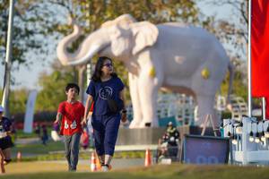 BIB: 
                            <button type="button" onclick="openModal(26188433)" class="btn btn-primary btn-sm float-right btn-popup" data-toggle="modal" data-target=".modal-high-quality">
                        <i class="fas fa-shopping-cart"></i> Add to Cart
                    </button>
                                            <button type="button" onclick="isThisMe(26188433, true)" class="btn btn-success btn-sm float-right btn-popup btn-isme hidden" data-toggle="tooltip" data-placement="bottom" title="นี่คือรูปของคุณใช่ไหม คลิกที่นี่เพื่อเอาเข้าอัลบั้ม">
                        <i class="fas fa-plus"></i> Add to album
                    </button>
                    <button type="button" onclick="isThisMe(26188433, false)" class="btn btn-warning btn-sm float-right btn-popup btn-isnotme hidden">
                        <i class="fas fa-ban"></i> Remove from album
                    </button>