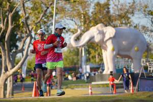 BIB: 
                            <button type="button" onclick="openModal(26188386)" class="btn btn-primary btn-sm float-right btn-popup" data-toggle="modal" data-target=".modal-high-quality">
                        <i class="fas fa-shopping-cart"></i> Add to Cart
                    </button>
                                            <button type="button" onclick="isThisMe(26188386, true)" class="btn btn-success btn-sm float-right btn-popup btn-isme hidden" data-toggle="tooltip" data-placement="bottom" title="นี่คือรูปของคุณใช่ไหม คลิกที่นี่เพื่อเอาเข้าอัลบั้ม">
                        <i class="fas fa-plus"></i> Add to album
                    </button>
                    <button type="button" onclick="isThisMe(26188386, false)" class="btn btn-warning btn-sm float-right btn-popup btn-isnotme hidden">
                        <i class="fas fa-ban"></i> Remove from album
                    </button>