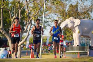 BIB: 
                            <button type="button" onclick="openModal(26188198)" class="btn btn-primary btn-sm float-right btn-popup" data-toggle="modal" data-target=".modal-high-quality">
                        <i class="fas fa-shopping-cart"></i> Add to Cart
                    </button>
                                            <button type="button" onclick="isThisMe(26188198, true)" class="btn btn-success btn-sm float-right btn-popup btn-isme hidden" data-toggle="tooltip" data-placement="bottom" title="นี่คือรูปของคุณใช่ไหม คลิกที่นี่เพื่อเอาเข้าอัลบั้ม">
                        <i class="fas fa-plus"></i> Add to album
                    </button>
                    <button type="button" onclick="isThisMe(26188198, false)" class="btn btn-warning btn-sm float-right btn-popup btn-isnotme hidden">
                        <i class="fas fa-ban"></i> Remove from album
                    </button>