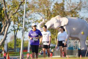 BIB: 
                            <button type="button" onclick="openModal(26188089)" class="btn btn-primary btn-sm float-right btn-popup" data-toggle="modal" data-target=".modal-high-quality">
                        <i class="fas fa-shopping-cart"></i> Add to Cart
                    </button>
                                            <button type="button" onclick="isThisMe(26188089, true)" class="btn btn-success btn-sm float-right btn-popup btn-isme hidden" data-toggle="tooltip" data-placement="bottom" title="นี่คือรูปของคุณใช่ไหม คลิกที่นี่เพื่อเอาเข้าอัลบั้ม">
                        <i class="fas fa-plus"></i> Add to album
                    </button>
                    <button type="button" onclick="isThisMe(26188089, false)" class="btn btn-warning btn-sm float-right btn-popup btn-isnotme hidden">
                        <i class="fas fa-ban"></i> Remove from album
                    </button>