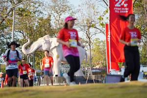 BIB: 
                            <button type="button" onclick="openModal(26189216)" class="btn btn-primary btn-sm float-right btn-popup" data-toggle="modal" data-target=".modal-high-quality">
                        <i class="fas fa-shopping-cart"></i> Add to Cart
                    </button>
                                            <button type="button" onclick="isThisMe(26189216, true)" class="btn btn-success btn-sm float-right btn-popup btn-isme hidden" data-toggle="tooltip" data-placement="bottom" title="นี่คือรูปของคุณใช่ไหม คลิกที่นี่เพื่อเอาเข้าอัลบั้ม">
                        <i class="fas fa-plus"></i> Add to album
                    </button>
                    <button type="button" onclick="isThisMe(26189216, false)" class="btn btn-warning btn-sm float-right btn-popup btn-isnotme hidden">
                        <i class="fas fa-ban"></i> Remove from album
                    </button>