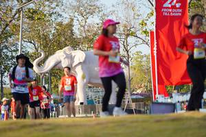 BIB: 
                            <button type="button" onclick="openModal(26189217)" class="btn btn-primary btn-sm float-right btn-popup" data-toggle="modal" data-target=".modal-high-quality">
                        <i class="fas fa-shopping-cart"></i> Add to Cart
                    </button>
                                            <button type="button" onclick="isThisMe(26189217, true)" class="btn btn-success btn-sm float-right btn-popup btn-isme hidden" data-toggle="tooltip" data-placement="bottom" title="นี่คือรูปของคุณใช่ไหม คลิกที่นี่เพื่อเอาเข้าอัลบั้ม">
                        <i class="fas fa-plus"></i> Add to album
                    </button>
                    <button type="button" onclick="isThisMe(26189217, false)" class="btn btn-warning btn-sm float-right btn-popup btn-isnotme hidden">
                        <i class="fas fa-ban"></i> Remove from album
                    </button>