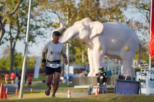 BIB: 
                            <button type="button" onclick="openModal(26188457)" class="btn btn-primary btn-sm float-right btn-popup" data-toggle="modal" data-target=".modal-high-quality">
                        <i class="fas fa-shopping-cart"></i> Add to Cart
                    </button>
                                            <button type="button" onclick="isThisMe(26188457, true)" class="btn btn-success btn-sm float-right btn-popup btn-isme hidden" data-toggle="tooltip" data-placement="bottom" title="นี่คือรูปของคุณใช่ไหม คลิกที่นี่เพื่อเอาเข้าอัลบั้ม">
                        <i class="fas fa-plus"></i> Add to album
                    </button>
                    <button type="button" onclick="isThisMe(26188457, false)" class="btn btn-warning btn-sm float-right btn-popup btn-isnotme hidden">
                        <i class="fas fa-ban"></i> Remove from album
                    </button>