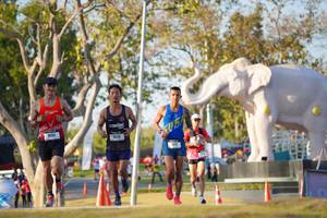 BIB: 
                            <button type="button" onclick="openModal(26188196)" class="btn btn-primary btn-sm float-right btn-popup" data-toggle="modal" data-target=".modal-high-quality">
                        <i class="fas fa-shopping-cart"></i> Add to Cart
                    </button>
                                            <button type="button" onclick="isThisMe(26188196, true)" class="btn btn-success btn-sm float-right btn-popup btn-isme hidden" data-toggle="tooltip" data-placement="bottom" title="นี่คือรูปของคุณใช่ไหม คลิกที่นี่เพื่อเอาเข้าอัลบั้ม">
                        <i class="fas fa-plus"></i> Add to album
                    </button>
                    <button type="button" onclick="isThisMe(26188196, false)" class="btn btn-warning btn-sm float-right btn-popup btn-isnotme hidden">
                        <i class="fas fa-ban"></i> Remove from album
                    </button>