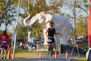 BIB: 
                            <button type="button" onclick="openModal(26189406)" class="btn btn-primary btn-sm float-right btn-popup" data-toggle="modal" data-target=".modal-high-quality">
                        <i class="fas fa-shopping-cart"></i> Add to Cart
                    </button>
                                            <button type="button" onclick="isThisMe(26189406, true)" class="btn btn-success btn-sm float-right btn-popup btn-isme hidden" data-toggle="tooltip" data-placement="bottom" title="นี่คือรูปของคุณใช่ไหม คลิกที่นี่เพื่อเอาเข้าอัลบั้ม">
                        <i class="fas fa-plus"></i> Add to album
                    </button>
                    <button type="button" onclick="isThisMe(26189406, false)" class="btn btn-warning btn-sm float-right btn-popup btn-isnotme hidden">
                        <i class="fas fa-ban"></i> Remove from album
                    </button>